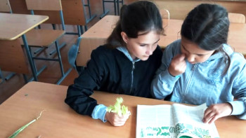 Фотография к новости: Павлодарлық ерекше лагерьде балалар өсімдіктер әлемін зерттейді