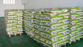 Фотография к новости: Қызылордалықтар #Арысбізбіргеміз акциясына атсалысуда