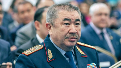 Арыста тонау және ұрлау фактісімен үш адам ұсталды – ІІМ 