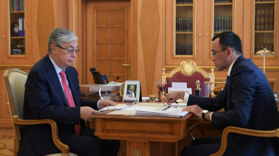 Президент Мәулен Әшімбаевты қабылдады