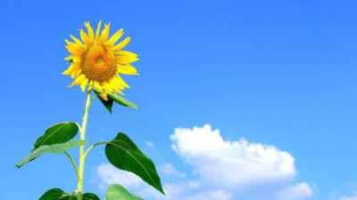 Алдағы үш күнге арналған ауа райы болжамы 