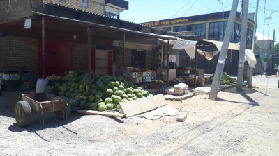 Арысқа оралу. Азық-түлік толығымен жойылуы керек