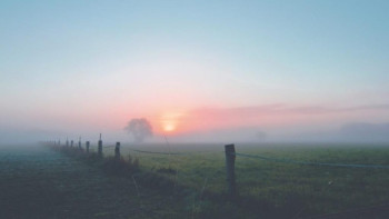 Фотография к новости: Еліміздің басым бөлігінде тұман түсіп, жаңбыр жауады 