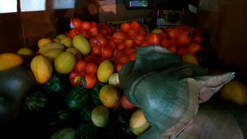 Фотография к новости: #АрысБізБіргеміз. Мақтаарал жастары 3,5 тонна көкөніс жеткізді 