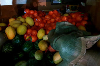 Фотография к новости: #АрысБізБіргеміз. Мақтаарал жастары 3,5 тонна көкөніс жеткізді 