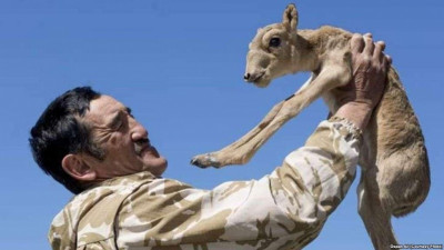 Кісі қолынан қаза тапқан қорықшының суреті «Үркер» сыйлығына ие болды