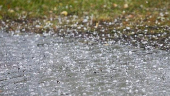 Фотография к новости: Елордада алдағы күндері найзағай, дауыл, бұршақ күтіледі