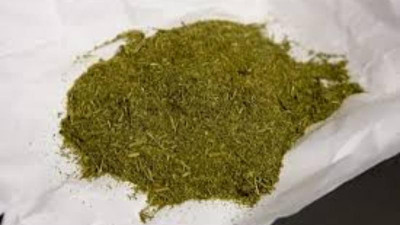 Шекарадан есірткі алып өтпек болған