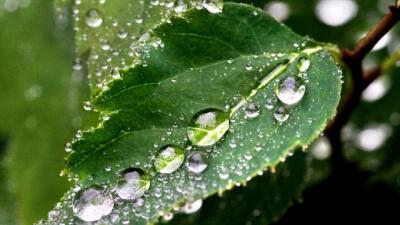 Шілде айының алғашқы жартысы салқын болады 