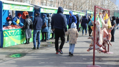 Павлодарлық фермерлер елордаға 160 тонна өнім жеткізеді