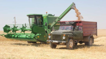 Фотография к новости: Түркістандық шаруалар жаздық бидай оруды бастады