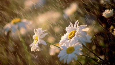 Алдағы үш күнге арналған ауа райы болжамы 