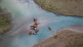 Фотография к новости: “Киелі Қазақстан” экспедициясының екінші кезеңі Алматыда басталды