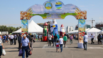 Фотография к новости: Елордада төрт өңірдің ауылшаруашылық жәрмеңкелері өтуде