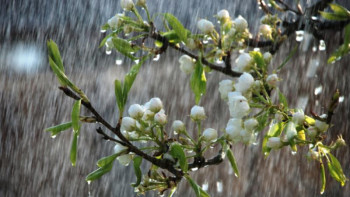 Фотография к новости: 9 шілдеге арналған ауа райы болжамы