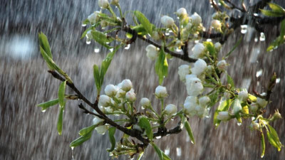 9 шілдеге арналған ауа райы болжамы