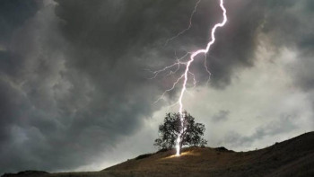 Фотография к новости: Моңғолияда найзағай түсіп, 1300-ден астам мал шығын болды