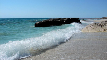 Фотография к новости: Каспий теңізін зерттейтін ғылыми орталық ашылды