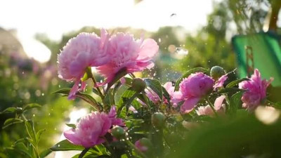 Бейсенбіде еліміздің басым бөлігінде жауын-шашынсыз болады