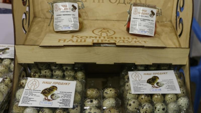 Павлодарлық кәсіпкер бөдененің маринадталған жұмыртқасын шығаруда