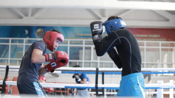 Фотография к новости: Бокс: Қазақстан құрамасының Президент кубогына дайындығы қандай?