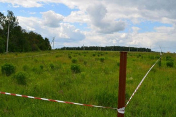 Фотография к новости: Маңғыстау облысында ауыл әкімі 659 млн теңгеге заңсыз жер телімін үлестірген 