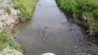 Түркістан облысында 3 жасар қыз арыққа батып кетті