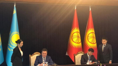 Қырғызстанға кіру кезінде балалардың туу туралы куәліктеріне фотосурет қосымша парағы алынып тасталмақ