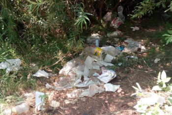 Фотография к новости: Экология министрі қазақстандықтарды тазалық акциясына қатысуға шақырды