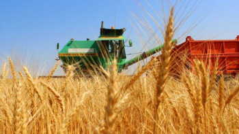 Фотография к новости: Еліміздің ауыл шаруашылығы өндірісі өсті