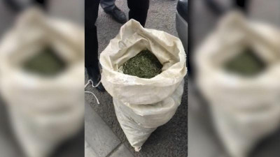 Тараз тұрғынынан 21 келіден астам кептірілген марихуана табылды