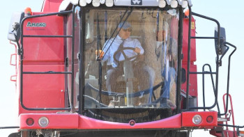 Фотография к новости: Шөкеев астық ору науқанына қатысты