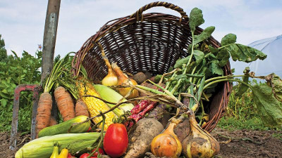 Алматы облысында өңделген өнім экспорты 3% арттырылады