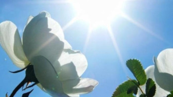 Фотография к новости: 18 шілдеге арналған ауа райы болжамы