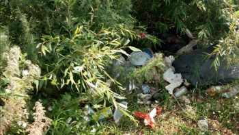 Фотография к новости: 500-ден астам елордалық #TazaQazaqstan акциясына қатысады