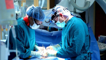 Фотография к новости: ІІМ ағзаны заңсыз иемденушілерді тергеуде