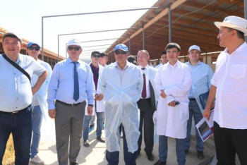 Фотография к новости: Өмірзақ Шөкеев АӨК саласында атқарылған жұмыстармен танысты