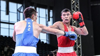 Фотография к новости: Бокстан Президент кубогының жеңімпаздары анықталды