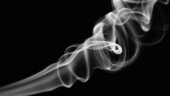 Фотография к новости: Маман: Темекі ағзаны жылдар бойы біртіндеп құртады