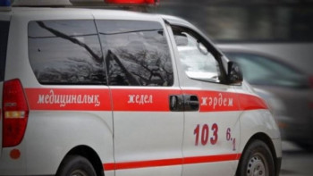 Фотография к новости: Ақтөбе облысында 8 адам улы жәндіктерден зардап шеккен