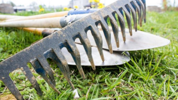 Фотография к новости: Қарағандылықтар экология министрінің эко-челленджіне қолдау көрсетті