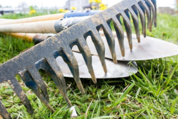 Фотография к новости: Қарағандылықтар экология министрінің эко-челленджіне қолдау көрсетті