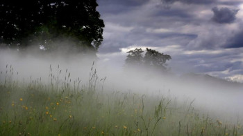 Фотография к новости: Найзағай, тұман, дауыл, бұршақ – синоптиктер бірқатар өңірде ескерту жариялады