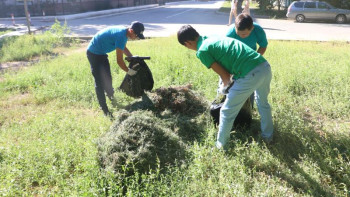Фотография к новости: Елорда әкімі экологиялық акцияны жалғастыруды ұсынды