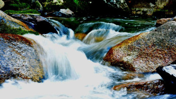 Фотография к новости: Еліміздің үздік фотографтары киелі Алтайды суретке түсіріп қайтты