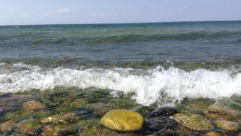 Фотография к новости: Қарағанды облысында шомылу маусымы басталғалы 26 адам құтқарылды