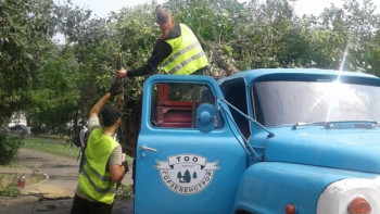 Фотография к новости: Павлодарда жыл басынан төрт мың ағаш кесілді
