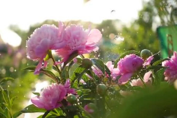 Фотография к новости: 23 шілдеге арналған ауа райы болжамы