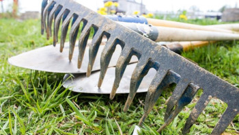 Фотография к новости: Ерлан Қошанов қарағандылықтарды экологиялық акцияға қатысуға шақырды