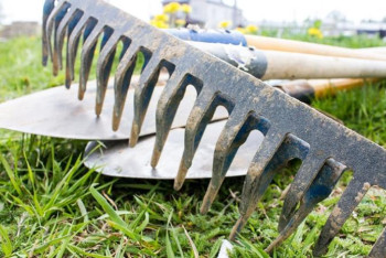 Фотография к новости: Ерлан Қошанов қарағандылықтарды экологиялық акцияға қатысуға шақырды